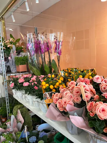 Bendita Flor