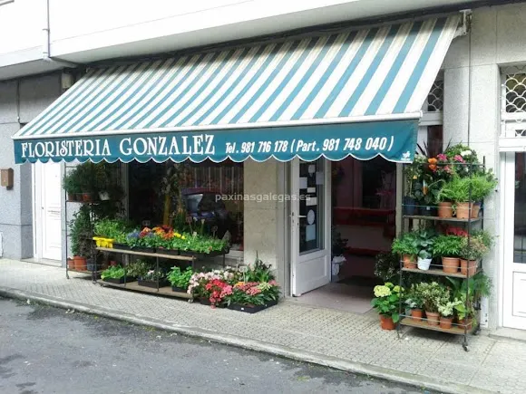 Floristería González - Vimianzo