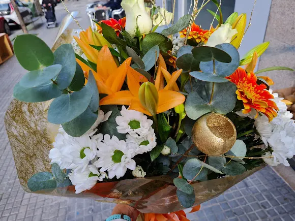Floristería Las Camelias (A Coruña)