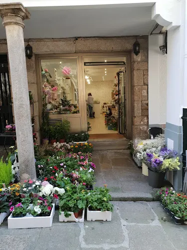 Floristería Ángela Garrote