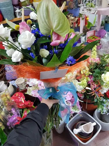 Floristería Maru - Melide