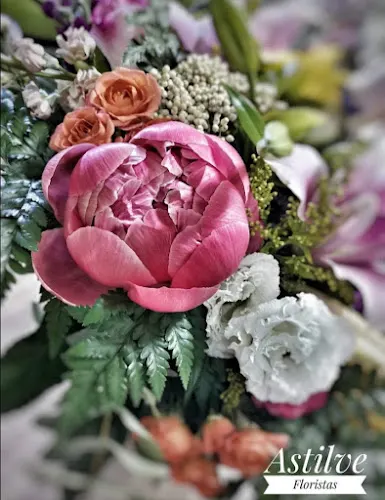 A tenda D'Fiuza / Astilve Floristeria - Carnota