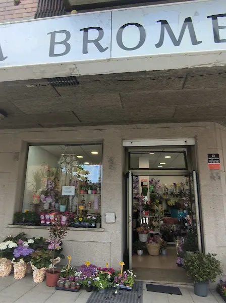 Floristería Bromelia - Culleredo