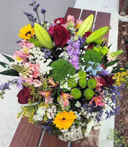 Floristería Raíces (La Buganvilla)