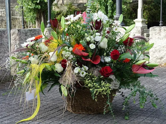 Floristeria Iria