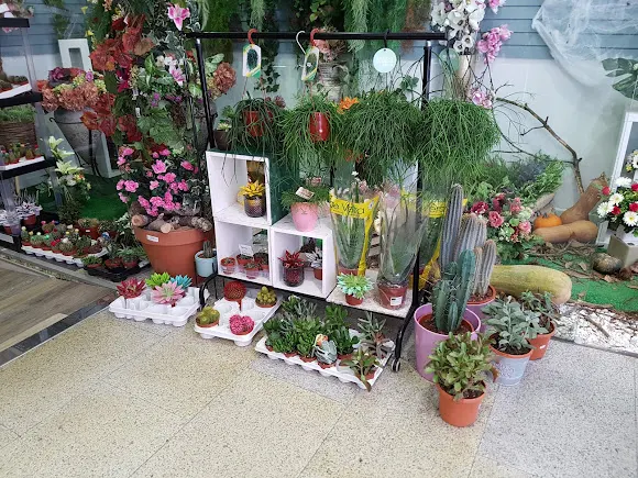 Follas Novas Floristería