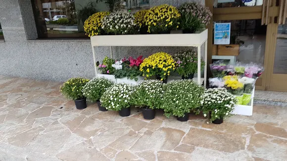 Xulian Floristeria - Santiago de Compostela