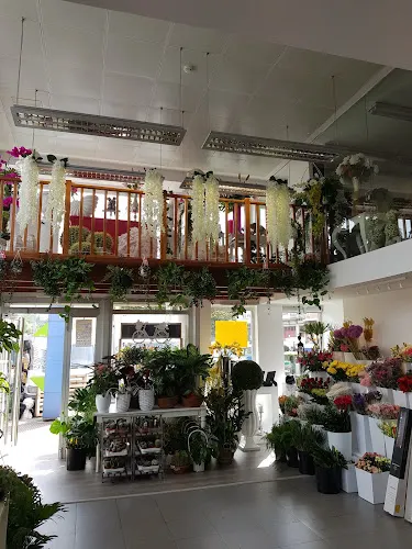 Flores Mariño. (San Lazaro)