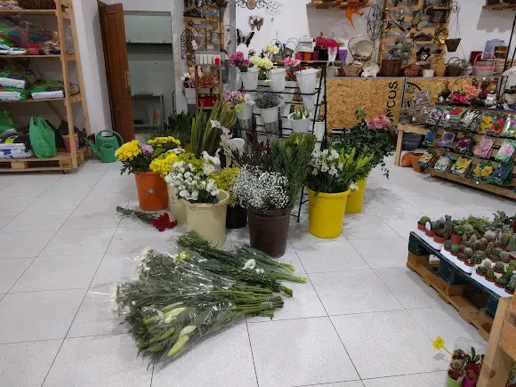 Xuncos Agro Xardin Ribeira