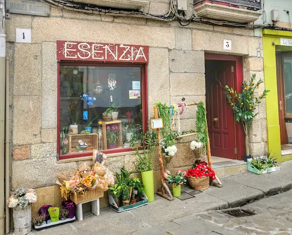 esenzia arte floral - Betanzos