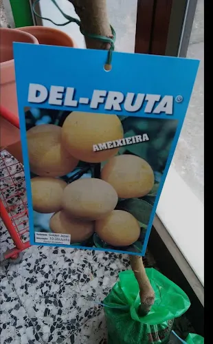 Agropesca Maseda - Carino