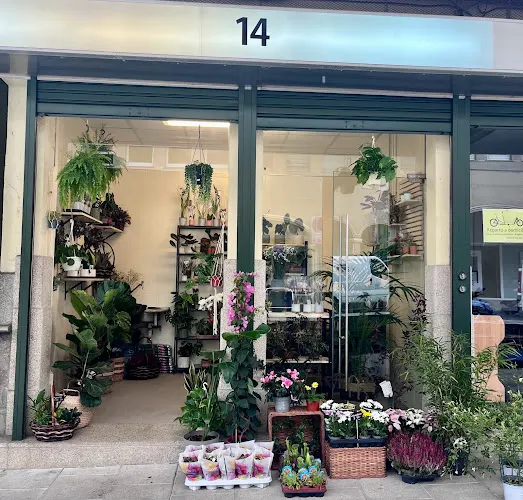 Votanikals - Floristería en Coruna (A)