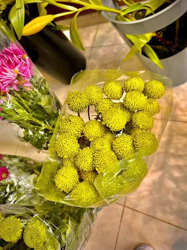 Lilli Ann Floristas