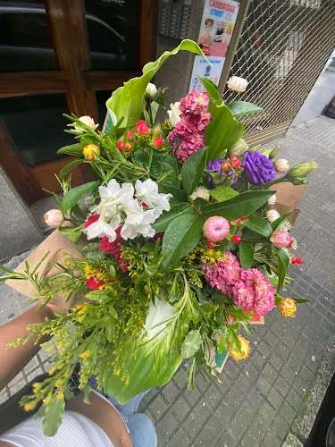 Floristería Pétalos