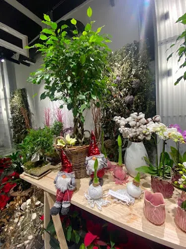 Floristería Calo