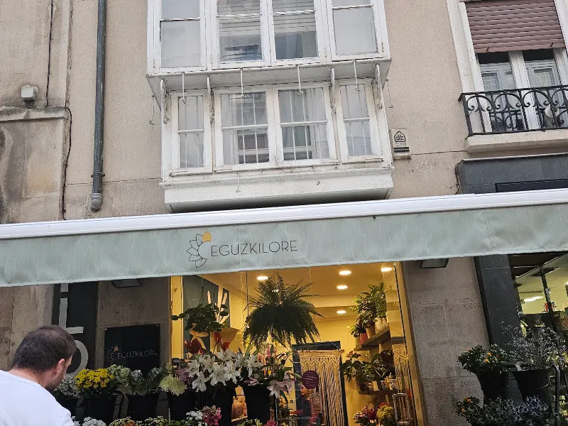 Eguzkilore loradenda - Vitoria-Gasteiz