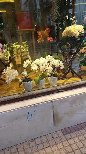 Munain Floristas