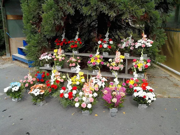 Floristería "Flores Maribel" - Floristería en Vitoria-Gasteiz