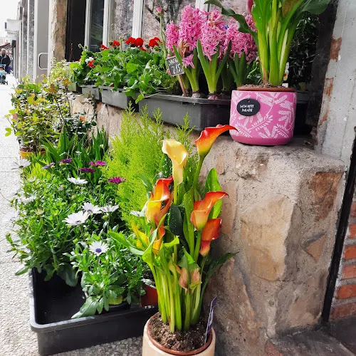 Floristeria Kerkus