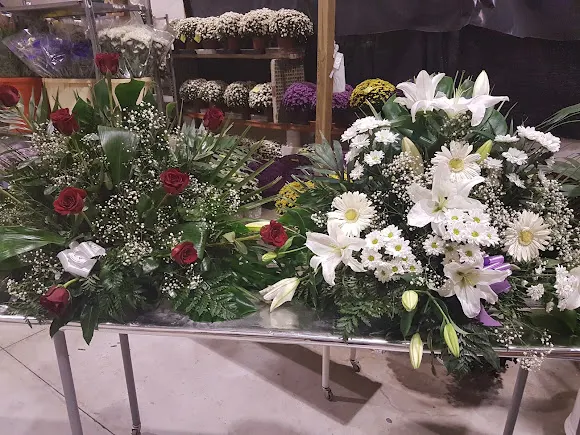 ALMACÉN DE FLORES FRESCAS pica flor. - Floristería en Oyon-Oion