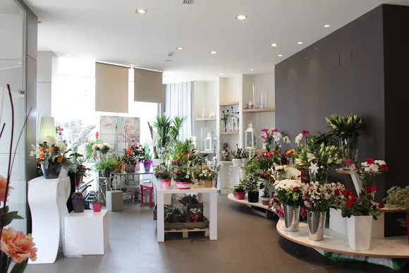 Bitxilore Floristas