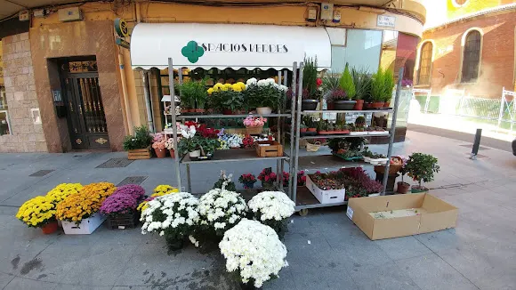 Floristería Espacios Verdes
