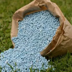 AGROQUÍMICOS OCHOA, S.L.(OLAMENDI)