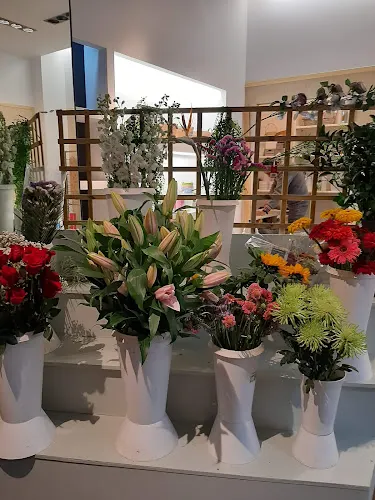 Floristería Rosablanca