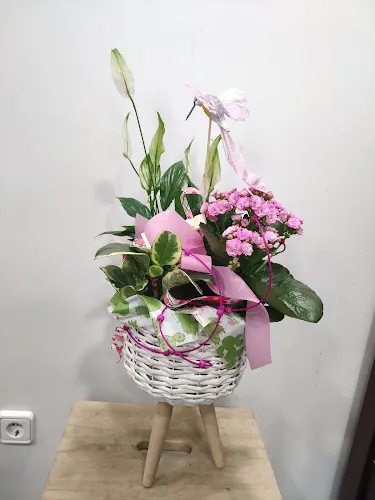 FELIÑARÁN floristas