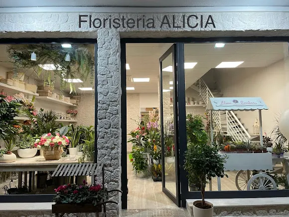 FLORISTERÍA ALICIA. - Villarrobledo