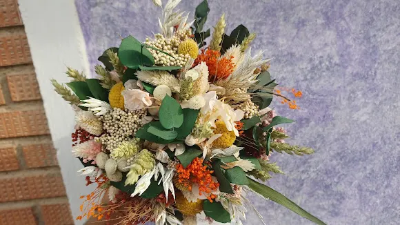 Floristería Los Claveles - La Roda