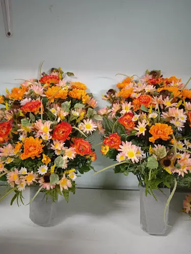 Floristeria Dama - Almansa