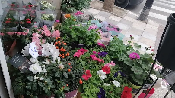 Floristeria Rosales - Albacete