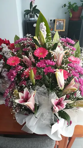 Ninfa Floristas - Almansa