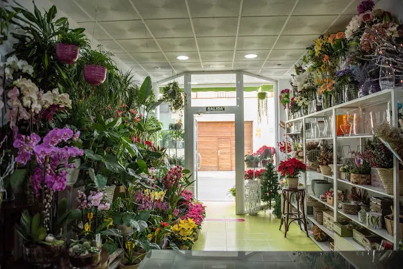 Floristería Raquel - Floristería en Fuente Alamo de Murcia