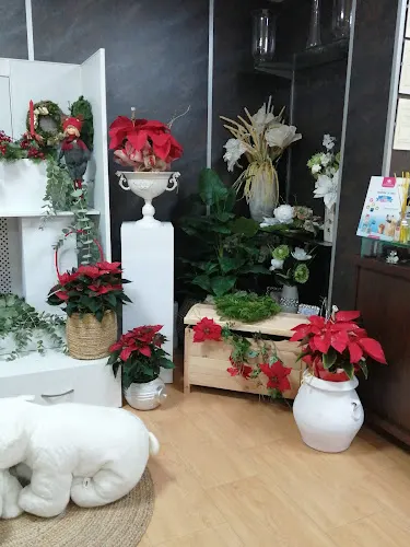 Floristería Isa - Tarazona de la Mancha