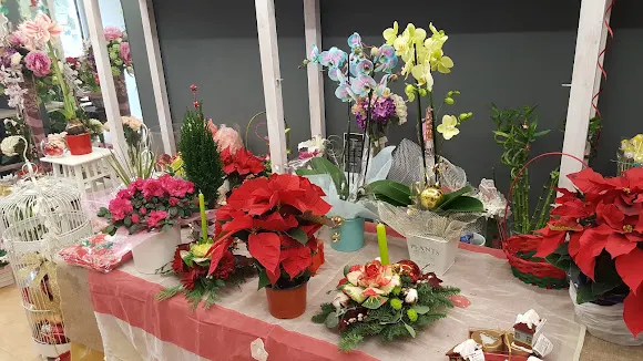 Floristería Marien