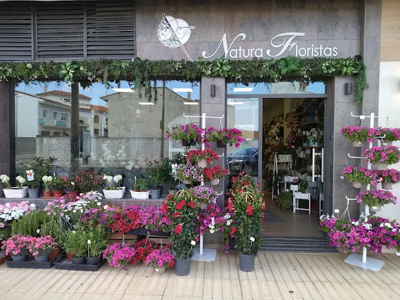 Natura Floristas