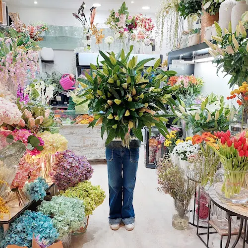 Floristeria Amarylis - Madrid