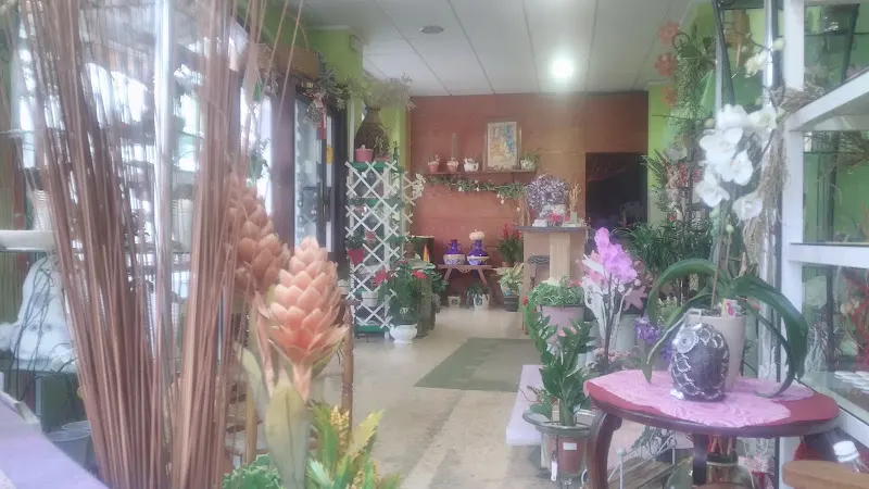 Floristería Kentia - Pego