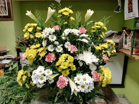 floristeria los claveles