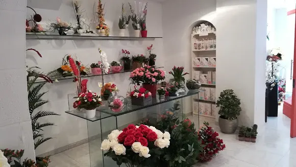 Natura Floristería - Cocentaina