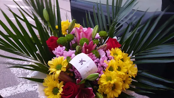 Floristería Edén - Sax