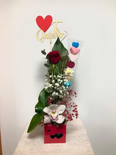 Floristería Roser