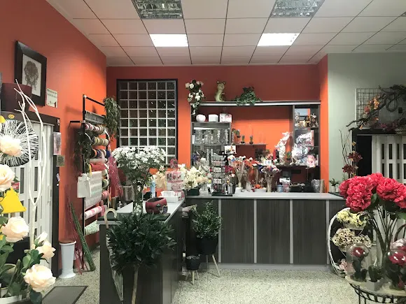 Floristeria EL SEÑÓ Monòver - Monovar/Monover