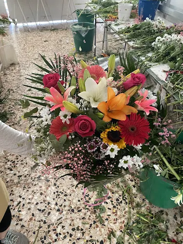 Floristería las Rosas C.B. - Alicante/Alacant