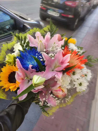 Floristería Elisa - Sax