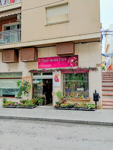 El Racó de les Flors - Calpe