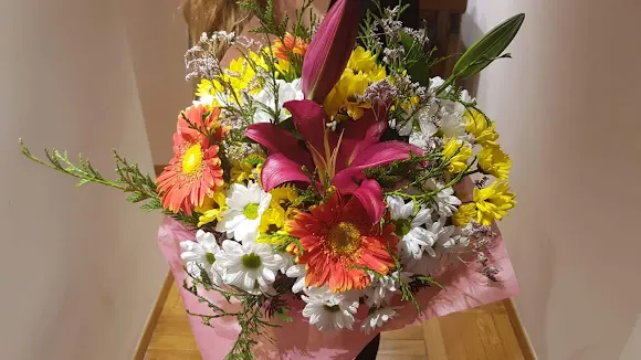 Art i Flors Diseño Floral - Floristeria Alicante - Alicante/Alacant