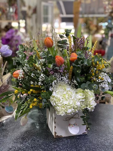 Floristería Sandy Sweet - Alicante/Alacant